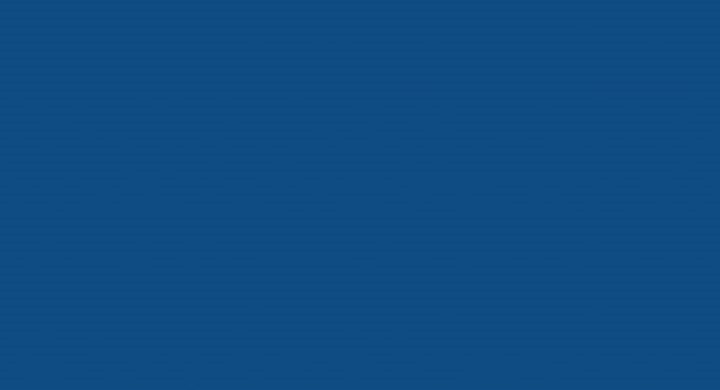 Blue 19-4052