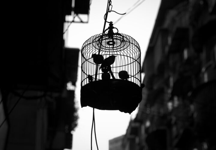 Si sta come uccelli in una grata